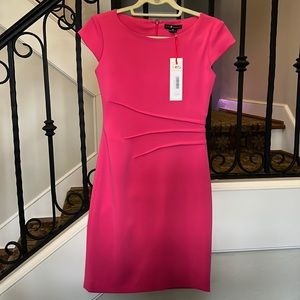 Nora Gardner Verana dress. Pink. Size 00. NWT